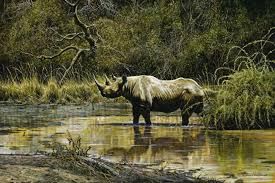 Rhinoceros - Godfrey
