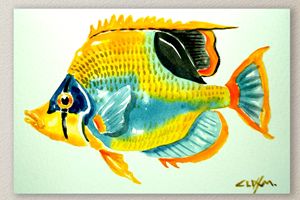 Fish Four