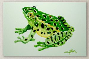 Fish Seven (frog)