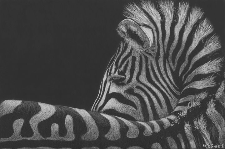 Wild wisdom / Zebra - WP Griffith - Drawings & Illustration