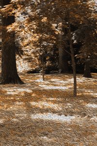 Brian Reed II - Digital Art & AI, Photography