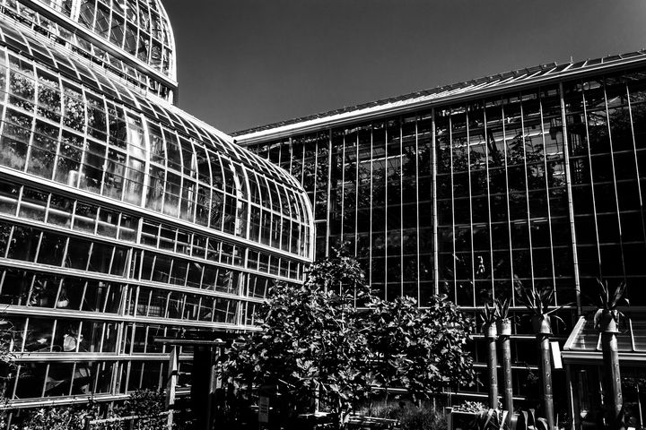 DC Garden - Brian Reed II - Photography, Places & Travel, United States ...
