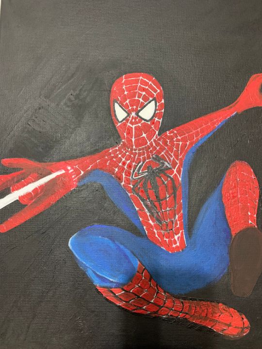 Spiderman Canvas & Sign Painting