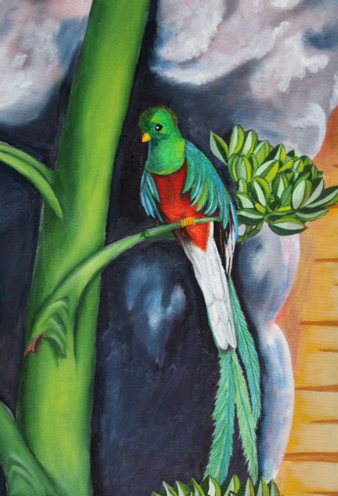Mexican Quetzal - Jleopold