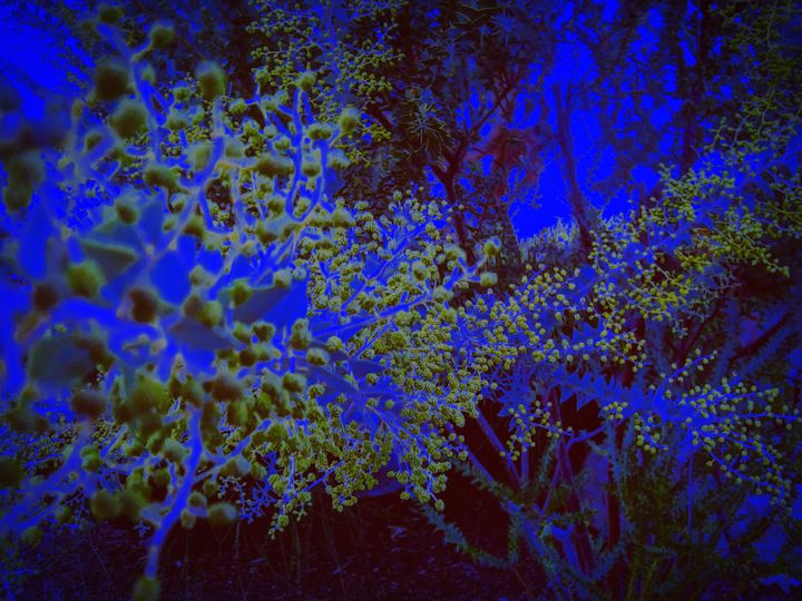 Green fractals - Innovatoin