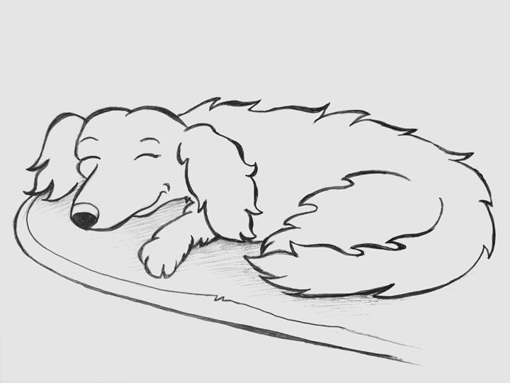 Dog Sleeping Drawing