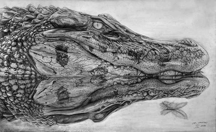 Crocodile Alligator Sketch Vector Icon Sea Stock Vector (Royalty Free)  655285777 | Shutterstock