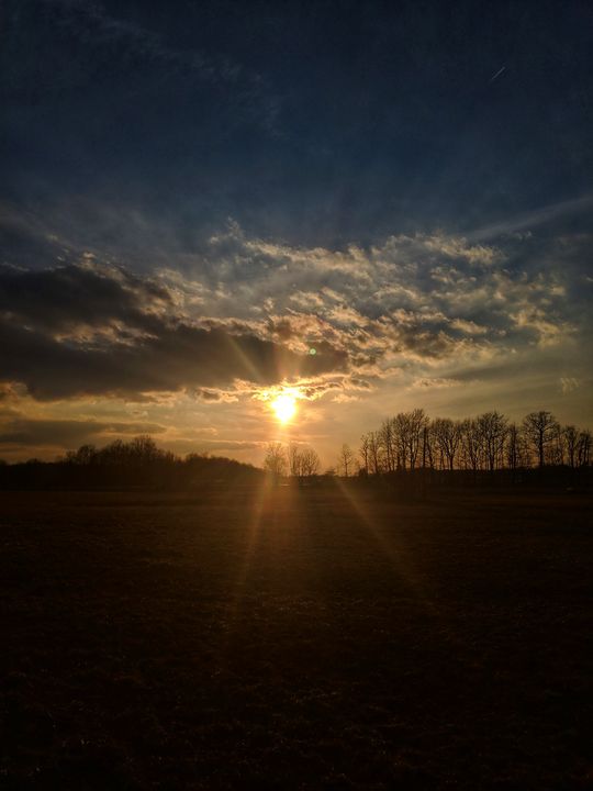 Sun in the Field Joseph Hamper, Jr. Photography, Landscapes