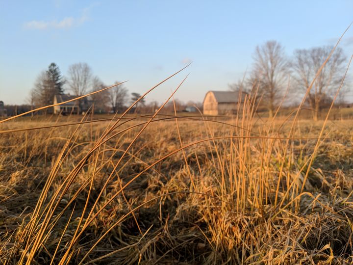 Field Joseph Hamper, Jr. Photography, Landscapes & Nature, Fields