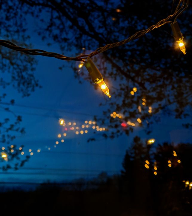 Bright Side Joseph Hamper, Jr. Photography, Still Life, Other Still