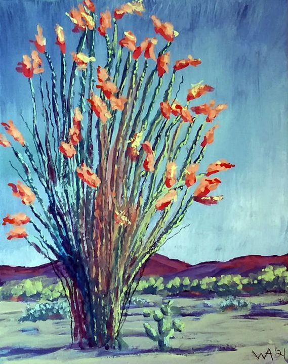 Blooming Ocotillo in the Morning - W. R. Adams Fine Art