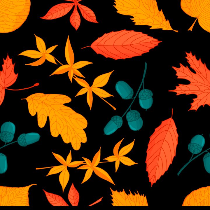 Autum leaves and Nuts - Creative_Behance - Digital Art, Flowers, Plants ...