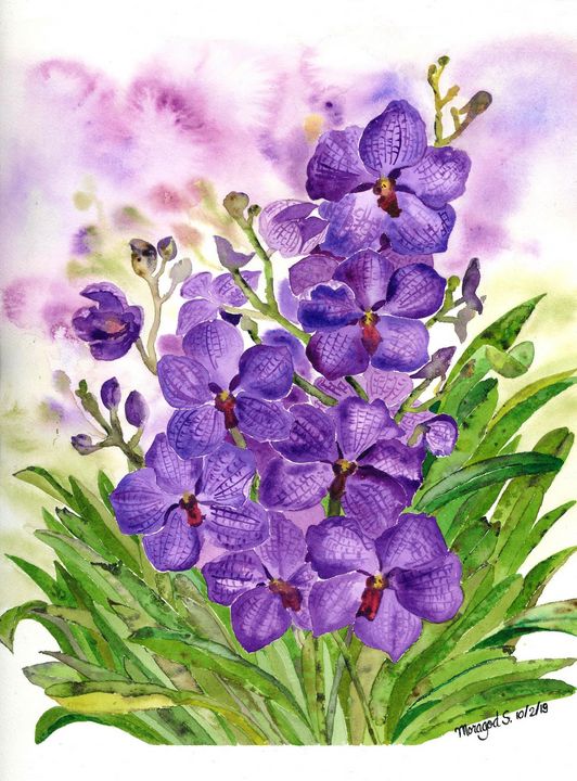 The Vanda Orchid Watercolor Painting - NicepaintingbyMoragod