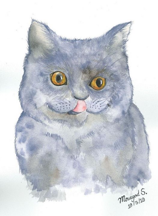 The British Shorthair Grey Chubby Nicepaintingbymoragod