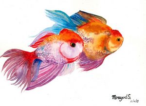 The couple of gold fishes 2