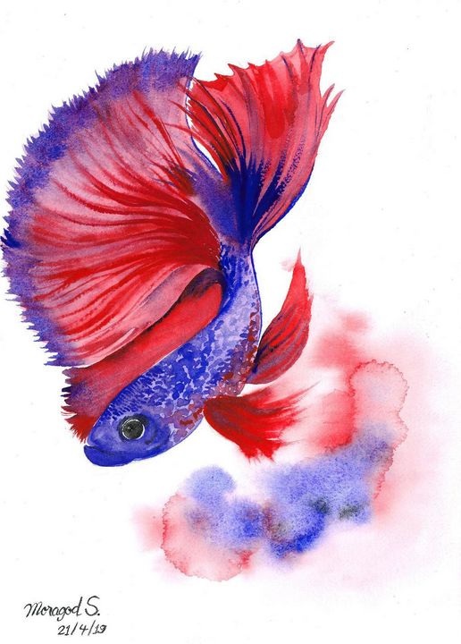 The Gorgeous fighting fish - NicepaintingbyMoragod - Paintings & Prints ...