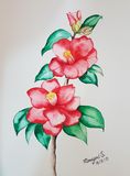 Watercolor Paintings : Flowers