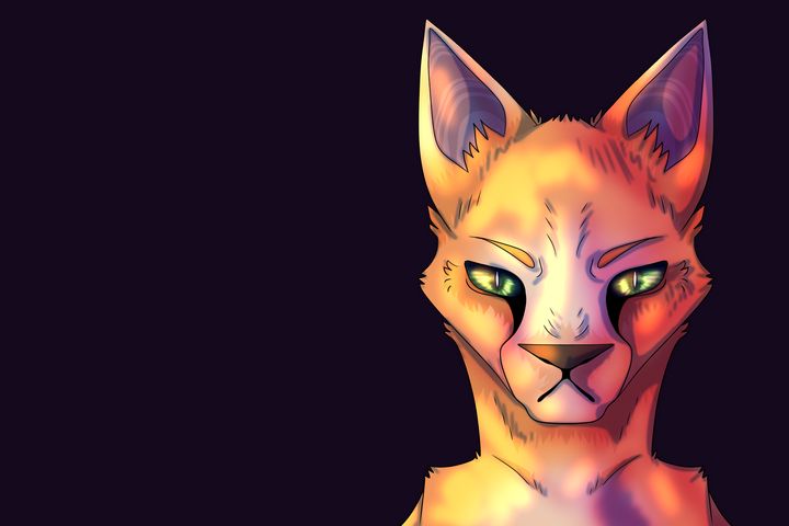 how to draw a warrior cat firestar