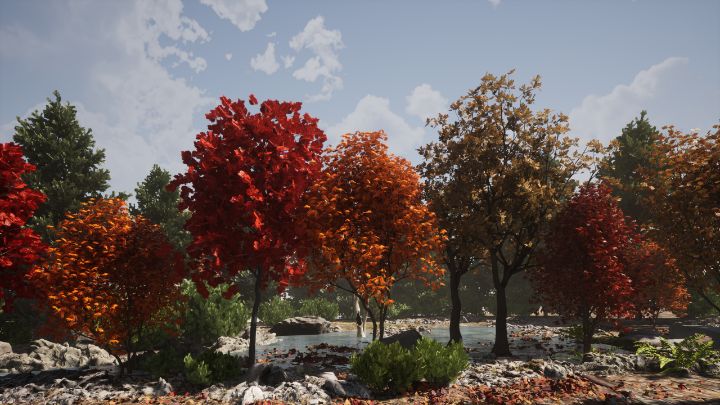 Autumn Trees - NeworImage