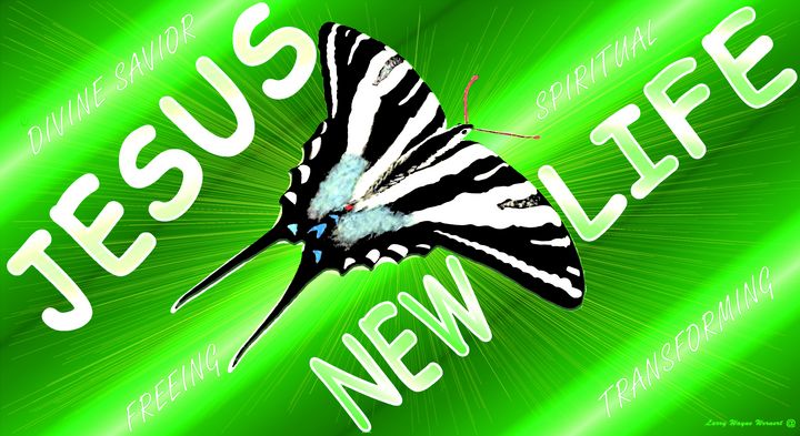 Jesus New Life ZebraButterflySublime - Jesus Marketing & Country