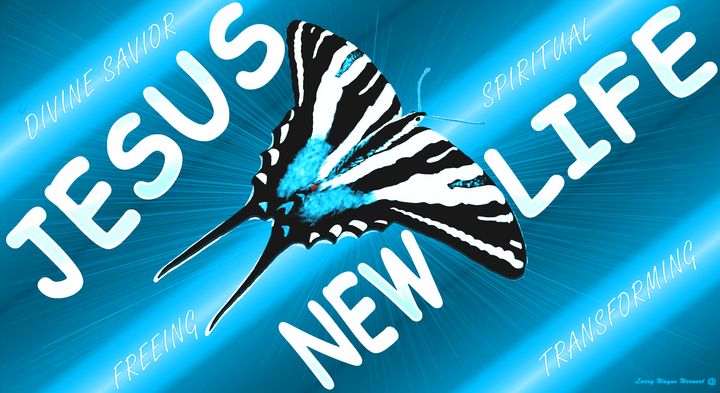 NEW LIFE Zebra Butterfly Neon - Jesus Marketing & Country