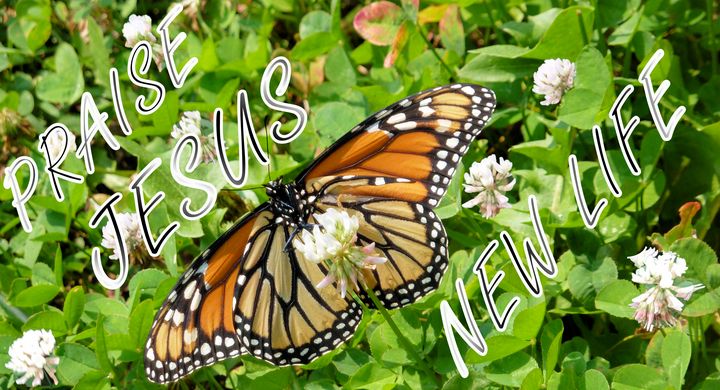 Praise Jesus New Life  w/ Monarch - Jesus Marketing & Country