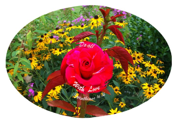 Do All With Love I Corinthians 16:14 - Jesus Marketing & Country