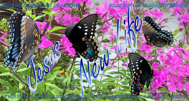 Butterflies Jesus New Life Romans 10 - Jesus Marketing & Country