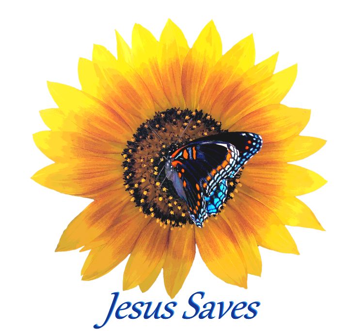 Butterfly on Sunflower Jesus Saves - Jesus Marketing & Country