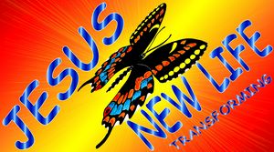 Gorgeous Butterfly New Life in Jesus - Jesus Marketing & Country
