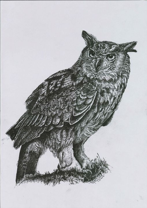 Eurasian eagle owl - Animal art