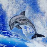 Dolphin Flying