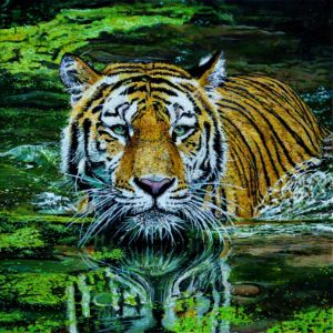 King Tiger (intense)
