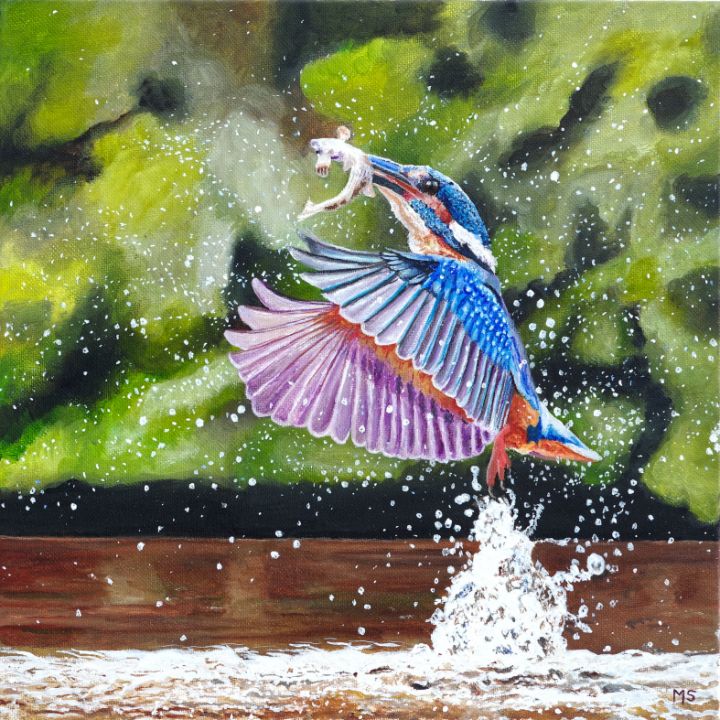 Kingfisher splash - Martin Scrase