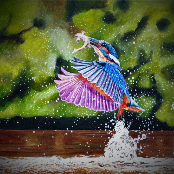 Kingfisher coming out of the water - Martin Scrase
