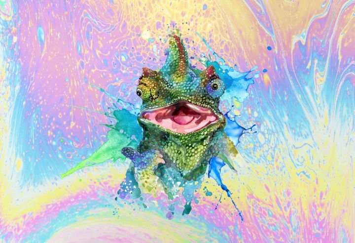 Chameleon Splash - Artistwill