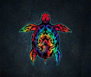 Tie Dye Turtle