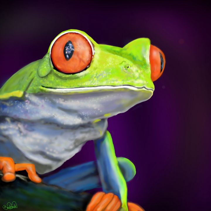 Rainforest frog - Evinger Emages