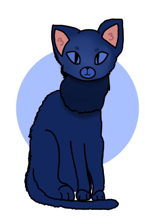 warrior cat drawings bluestar