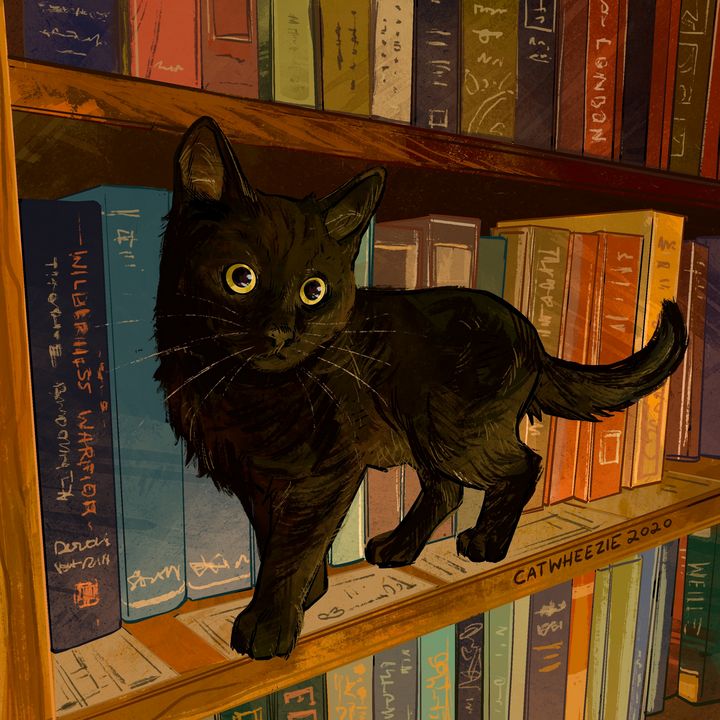 Library Cat - Catwheezie's Print Gallery
