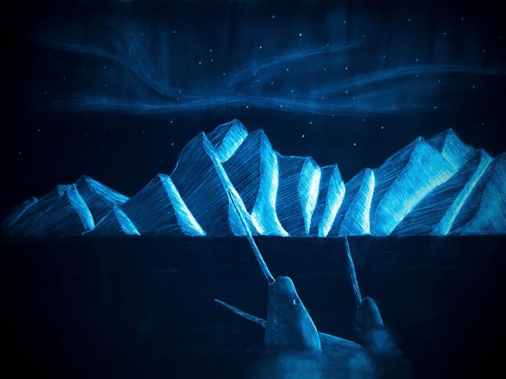 Midnight Narwals - Aaron Eagle
