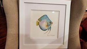 Pastel Discus Fish