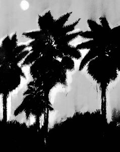 Moon palms