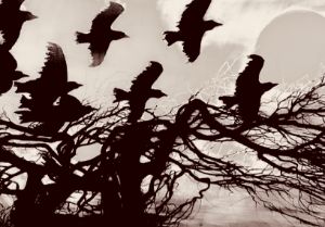 Crows flying into spirt world