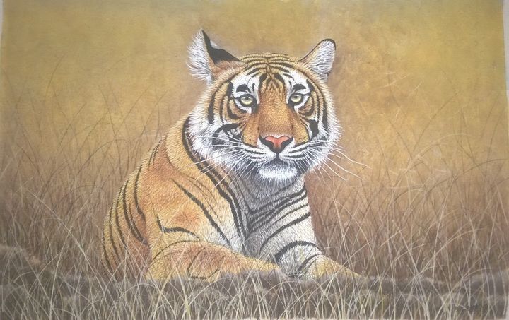 The Tiger - Mohenjodaro Art