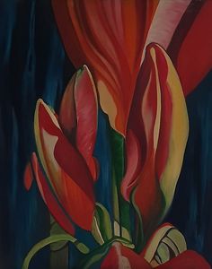 Tulips - Fourie Collection