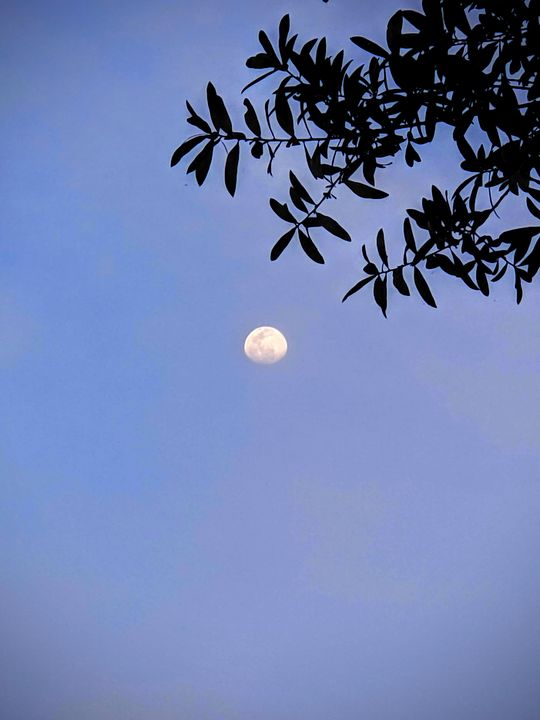Lunar - Vaishu - Photography Club OSS