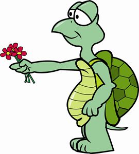Turtle with flower