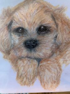 Colored Pencil Drawing of a Puppy