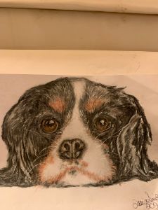 Colored Pencil Drawing of. Puppy